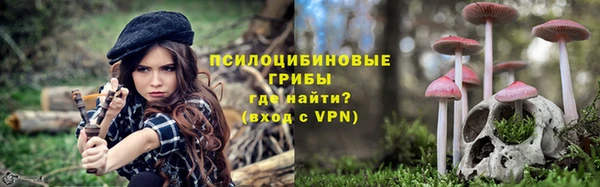 дмт Алексин