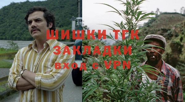 дмт Алексин