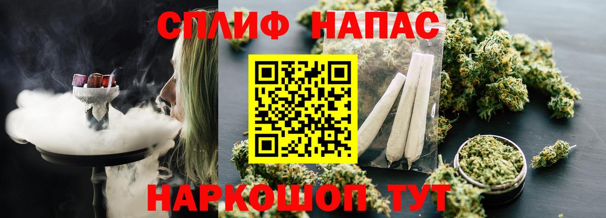 Канабис сатива  Бошки Шишки планчик  Обнинск  Вход с VPN 